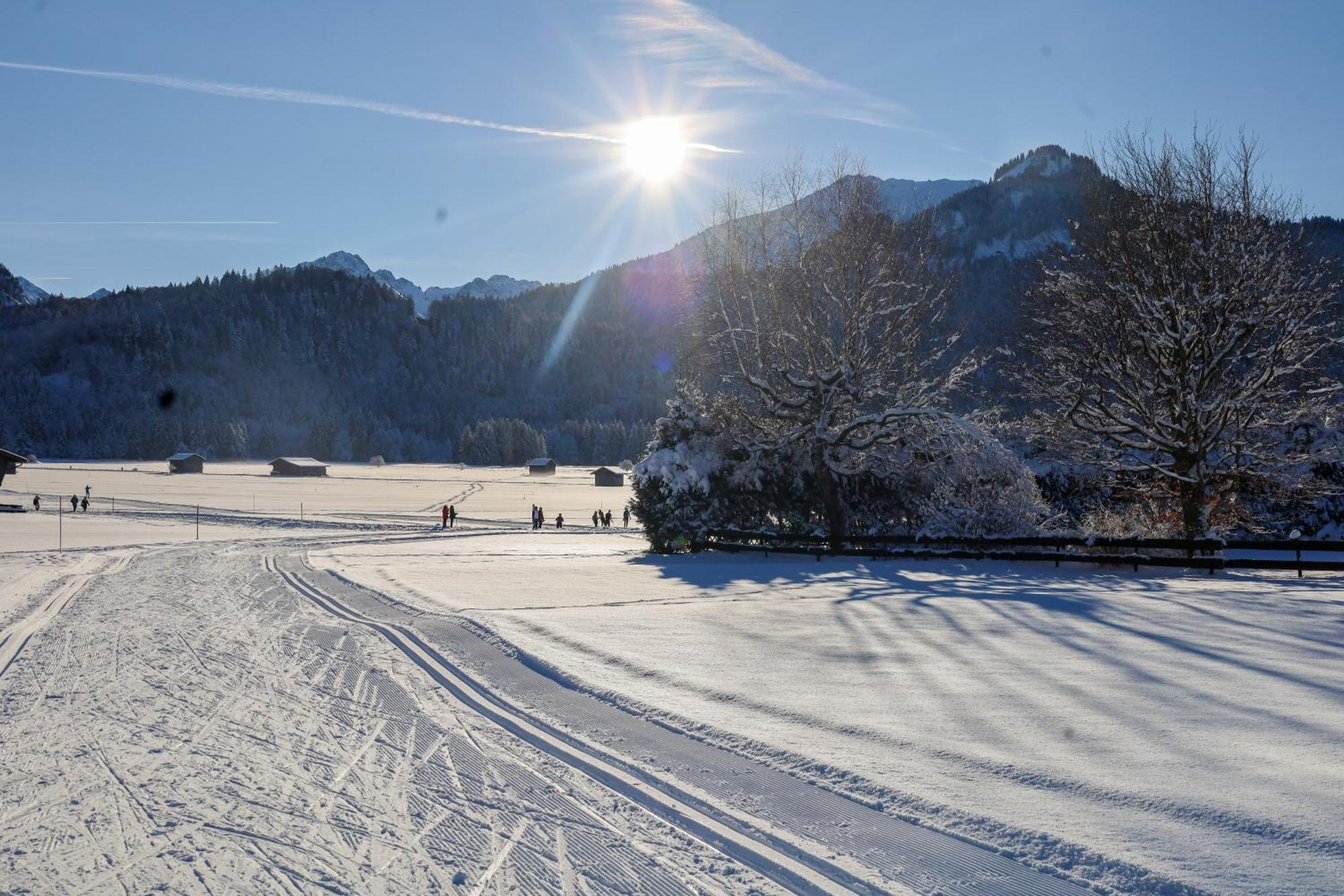 Geiger Oberstdorf